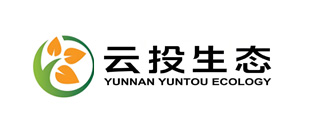 云投生态